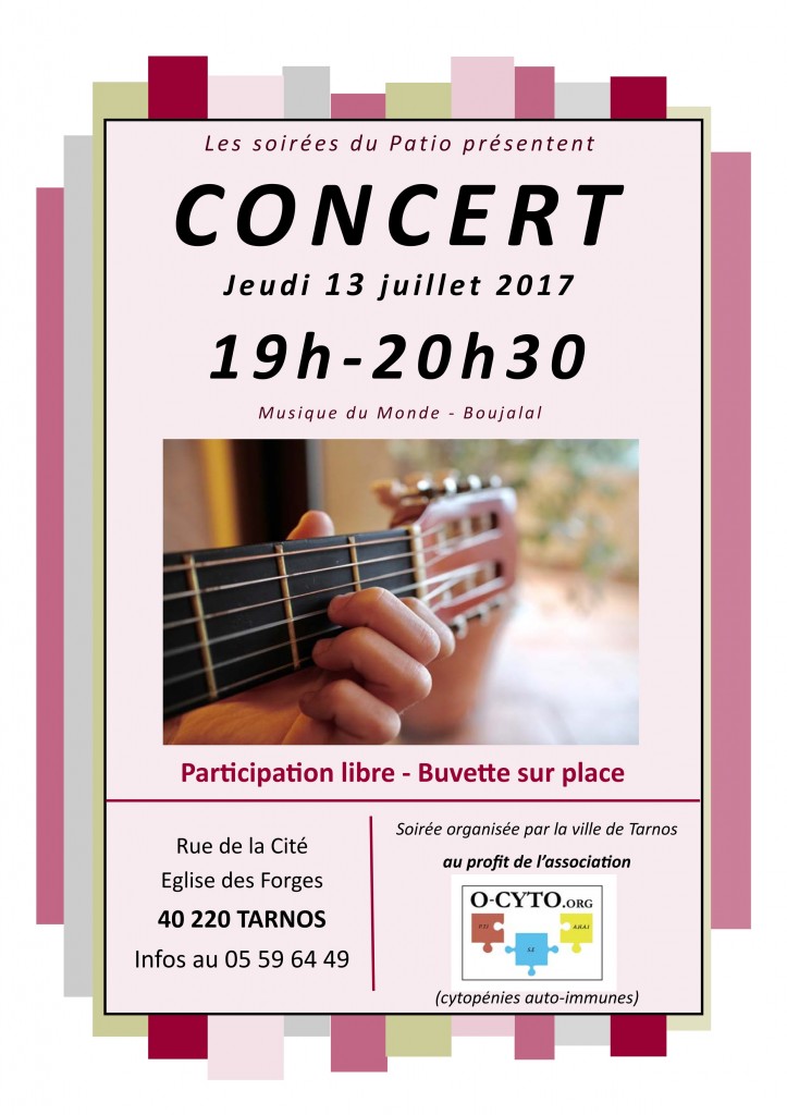 ocyto_concert_13-07-17